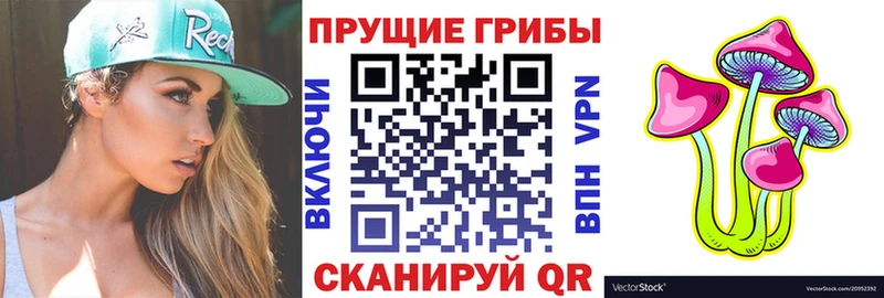 Галлюциногенные грибы Psilocybe  Купить  Кропоткин 